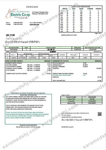 USA New Hampshire Electric Co-op electricity utility bill template in Word and PDF format